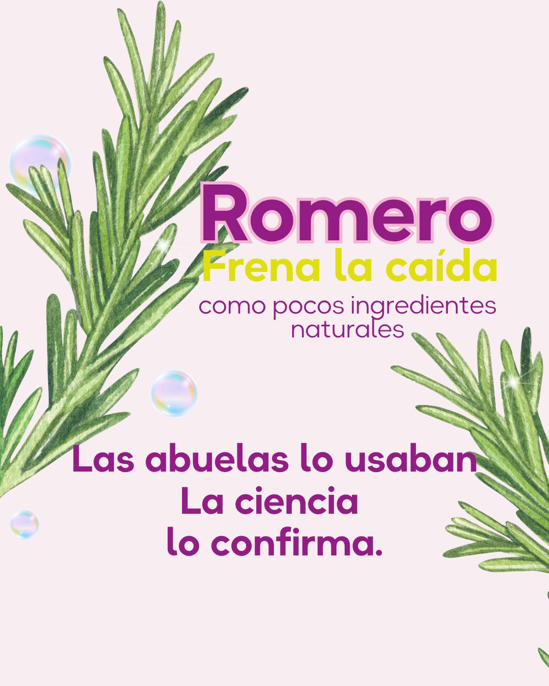 Shampoo Extracto de Ají y Romero - Control Caída