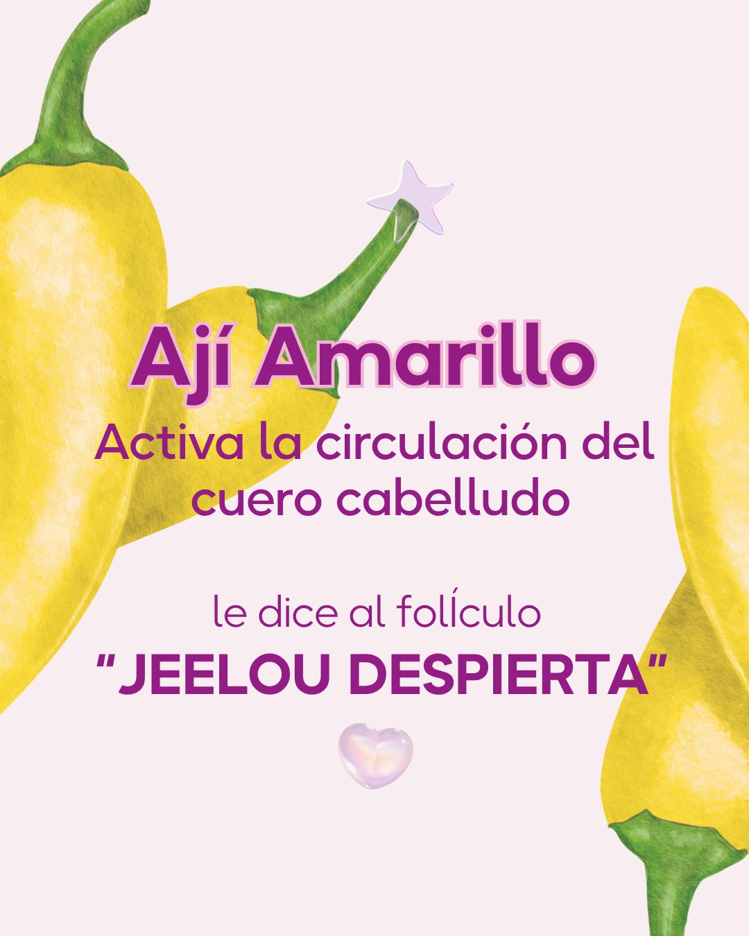 Jeelou Duo Perfecto - Anticaída + Nutrición y Reparación